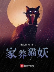家养猫妖by薄暮txt百度网盘